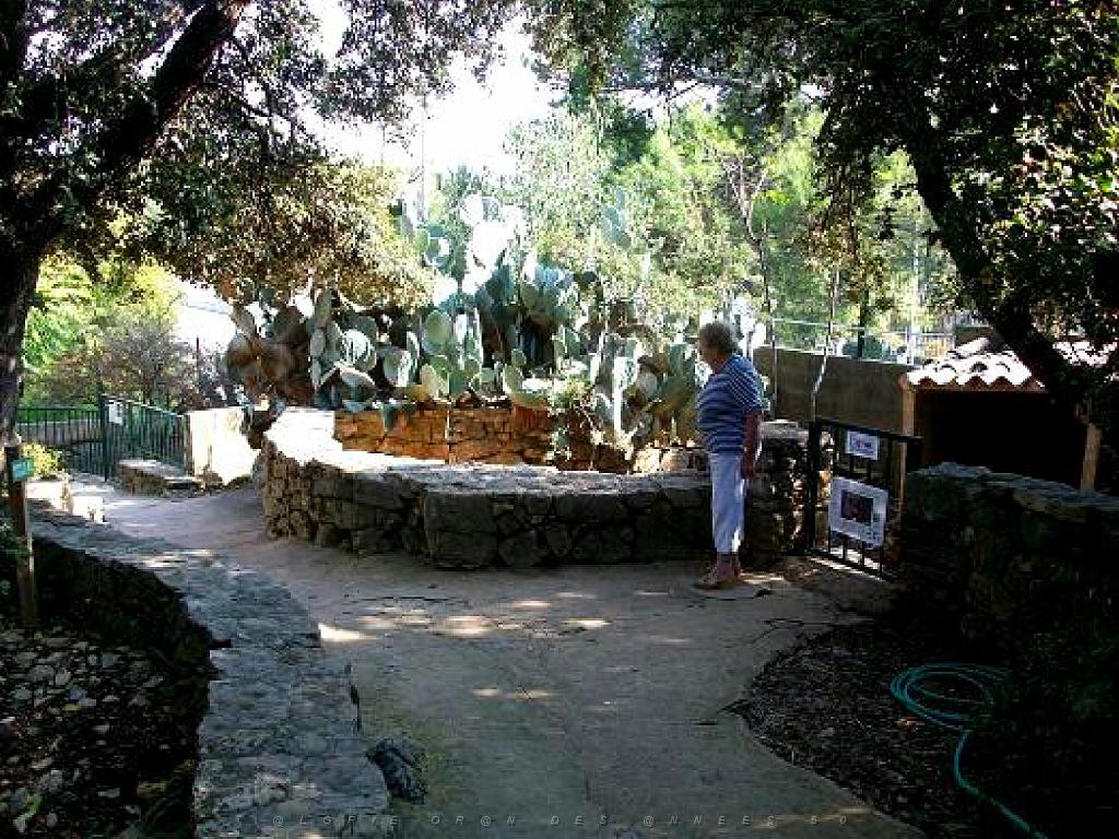 183 D22 SANARY SUR MER 2_000010.jpg